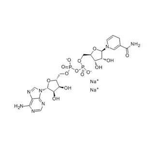 بيتا نيكوتيناميد أدينين دينوكليوتيد ملح الصوديوم شكل مخفض (ناد) كاس 606-68-8