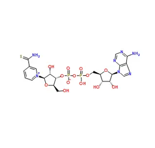 بيتا ثيونيكوتيناميد أدينين دينوكليوتيد (ثيو-ناد) كاس 4090-29-3