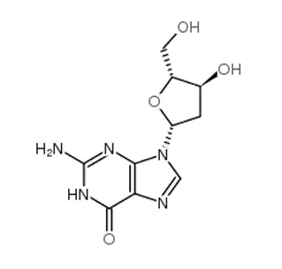 2 '-Deoxyguanosine مونوهيدرات CAS 312693-72-4