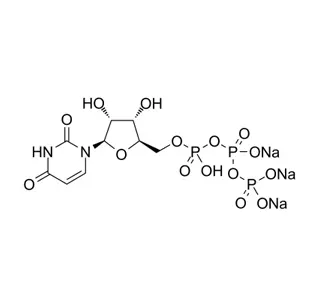 Uridine-5-triphosphoricAcid ملح الصوديوم CAS 19817-92-6