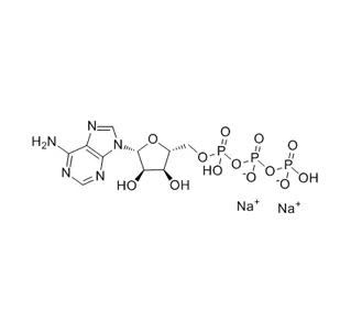 أدينوسين 5 '-ثلاثي الفوسفات ثنائي الصوديوم الملح CAS 987-65-5