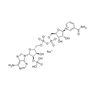 بيتا نيكوتيناميد أدينين دينوكليوتيد فوسفات أحادي الصوديوم الملح (NADP-Na) CAS 1184-16-3