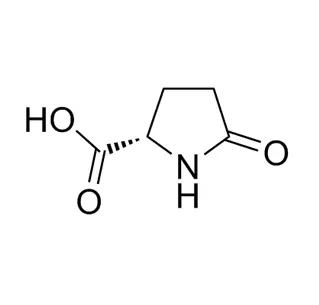 L-بيروغلوتاميك حمض CAS 98-79-3