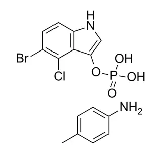 5-Bromo-4-chloro-3-indolyl فوسفات P-toluidine الملح CAS 6578-06-9
